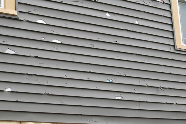 Best Fiber Cement Siding Installation  in Cherry Valley, CA